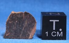 1.68 gram Tryon Meteorite Slice - L6 Chondrite - Found 1934 in Nebraska picture