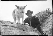 Photo:Image from LOOK - Job 54-1530 titled Rin Tin Tin picture