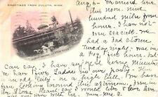Vintage Postcard 1903 Greetings From Duluth Minnesota Rustic Bridge Lester River picture