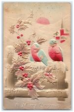 c1910's Merry Christmas Song Birds Holly Berries Airbrushed Embossed Postcard picture