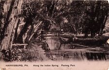 1907 Harrisburg Pennsylvania ALONG THE INDIAN SPRING Paxtang Park Postcard picture