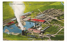 OR Postcard Lumber Mill Pacific Northwest picture