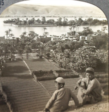 Keystone Stereoview Location of Garden of Eden?, Iraq from 1930’s T400 Set #T215 picture