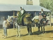 Women On Heavily Laden Donkeys Malaga Spain Magic Lantern Glass Slide 1910 picture