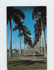 Postcard Beautiful Lake Trail along the Palm Beach aYacht Basin, Palm Beach, FL picture