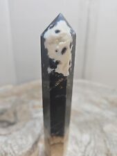 136g Natural Rare Crystal Fossil Palm Tree Quartz Crystal Healing Brazil i892 picture