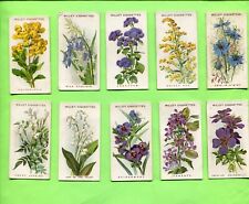 1913 W.D. & H.O. WILLS CIGARETTES OLD ENGLISH GARDEN FLOWER 2ND 10 TOBACCO CARDS picture