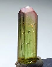 Top Quality Terminated Bi-Colour Tourmaline Crystal From Poprook Mine. picture