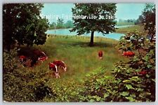 Centerville, South Dakota SD - Greetings - Green Pastures - Vintage Postcard picture
