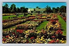Newark NY-New York, Jackson and Perkins Rose Garden, Vintage Souvenir Postcard picture