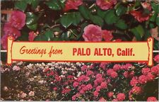 Greetings from Palo Alto California pink and white flowers postcard D19 picture