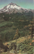 Postcard Salem Oregon Mount Jefferson Cascade Range No. 32 Union Oil picture