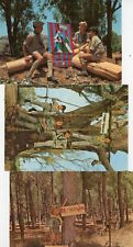 Three 1960's Israel Boy Scout postcards, scouting, stamp covers picture