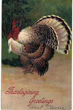 Thanksgiving PFB Embossed White Tom Turkey 1910  picture