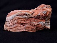 Petrified Wood 2.34 lbs 1063 g  A Really Nice Specimen picture