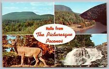 Hello From Picturesque Poconos Mts PA Multiview Postcard UNP VTG Plastichrome picture
