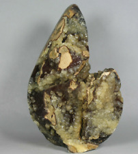 3.44lb Polished DRAGON SEPTARIAN Crystal Calcite GEODE Specimen Madagascar picture