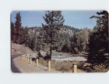 Postcard Naches Pass Highway Along American River Washington USA picture