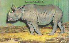 Philadelphia Pennsylvania, Rhinoceros at Philadelphia Zoo, Vintage Postcard picture