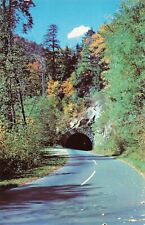 Postcard Approaching Lower Tunnel Great Smoky Mts National Park Knoxville TN picture