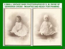 2 VINTAGE BABY PHOTOGRAPHS BY D M PAYNE GERRARDS CROSS - MOUNTED ON CARD picture