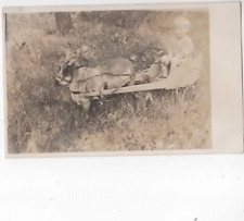 Child in Cart pulled by goat rppc  Montana 1910 picture
