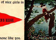 Vintage 1900's Pennant Postcard Greens Ridge Sample for NYCE Postcard Co. picture