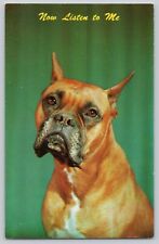 Postcard Now listen to me Boxer Dog Puppy picture