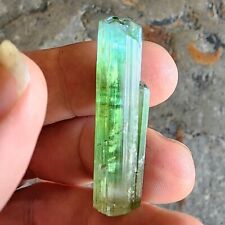 Choice Bicolor Paprok Blue Facet Mint Green Tourmaline Extr Fine Elbaite Crystal picture