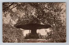 Seattle WA-Washington, Umbrella Rest, Kinnear Park, Vintage c1910 Postcard picture