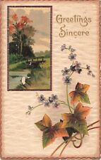 Vtg Early 1900's Greetings Sincere Flower Picture & Picture Postcard 5.5