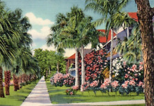Vintage Linen Postcard Sunshine Shadows Residence Street Florida FL House Trees picture