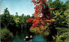 Westport Ontario Canada People Canoeing Down River Scenic Forestry Postcard Note picture