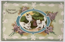 Antique 1912 Cat Kittens Flowers Embossed Used Postcard Vintage Chicago picture