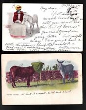 Lot of 2 Donkeys Undivided Back Postcards Posted 1904 and 1905 EX picture