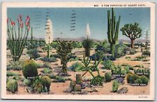 Vintage Postcard 1935 Desert Cacti Ocotillo Yucca Joshua Tree Beverly Hills CA picture