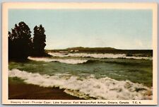 Postcard Lake Superior Ontario c1930s Sleeping Giant Thunder Cape by PECO picture