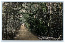 c1910's To Camp Of Pines Warners Lake Helderberg Mts. NY Unposted Postcard picture