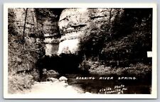 RPPC~Cassville Missouri~Roaring River Spring @ State Park~Real Photo Postcard picture