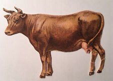 1880's New England Mince Meat Advertising Victorian Trade Card Die Cut Cow picture