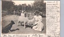 FARM LADY FEEDING SHEEP bixby sd real photo postcard rppc south dakota history picture