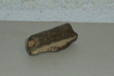 Authentic Native American Artifact Winged Bannerstone Drilled Center Ohio picture