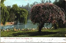 Error Postcard Baldwin's Ranch Santa Anita California marked Los Angeles  - A16  picture
