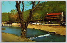 Vintage Postcard MO Cassville Roaring River State Park Lodge 50s Cars -11159 picture