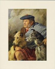 DEERHOUND LURCHER DOGS AND SCOTS MAN LOVELY DOG ART PRINT MOUNTED READY TO FRAME picture