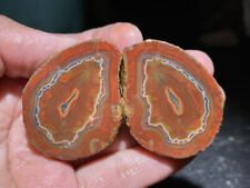 A Pair rough Chinese Agate Achat Nodule Fighting Blood Agate xuanhua 86g T113 picture
