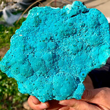 1.98LB  Natural tortoise Malachite transparent cluster coarse mineral sample picture