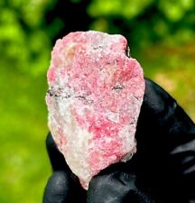Red RHODONITE Natural Raw Gemmy Crystal Mineral Stone Rushinga ZIMBABWE picture