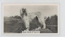 1938 Sinclair Champion Dogs Tobacco Small Afghan Hound #1 0a4f picture