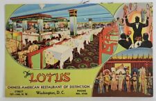 Washington DC THE LOTUS Chinese American Restaurant Show Girls Band Postcard S15 picture